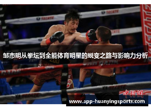 邹市明从拳坛到全能体育明星的蜕变之路与影响力分析
